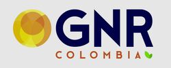 GRUPO NONSOQUE REYES COLOMBIA